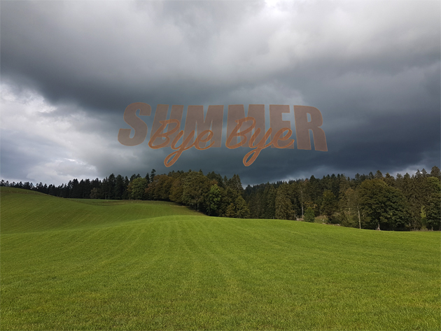 ... no way 2 choose!