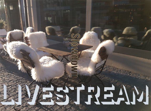 ... walk every where!