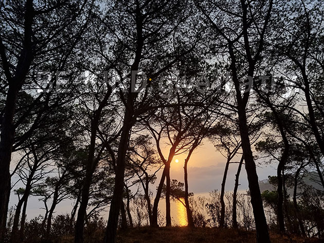 ... refresh every morning :) 