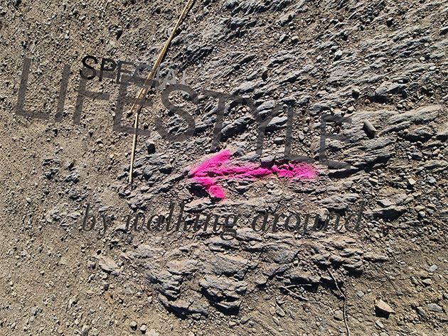 ... on slow rocky path :))