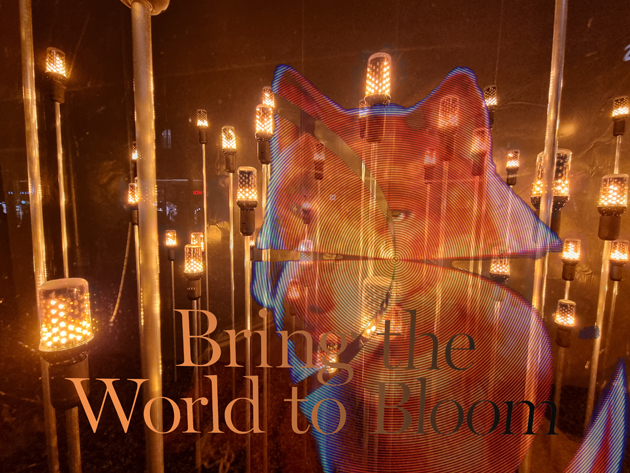 ... ther's always a light in the dark!