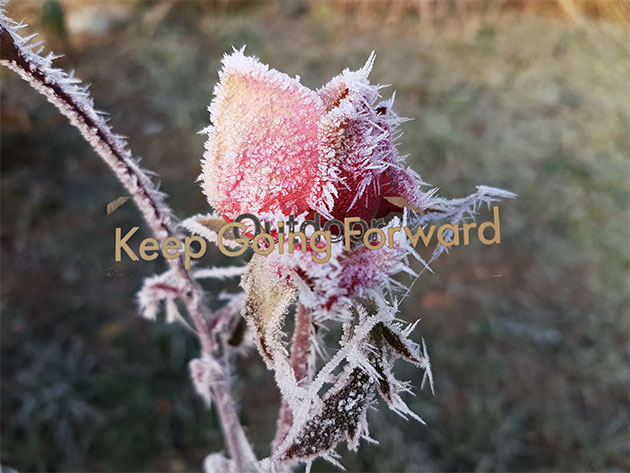 ... frosty&chilly!!!