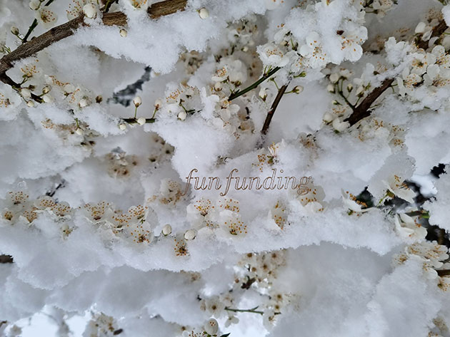 ... it's up to go for!