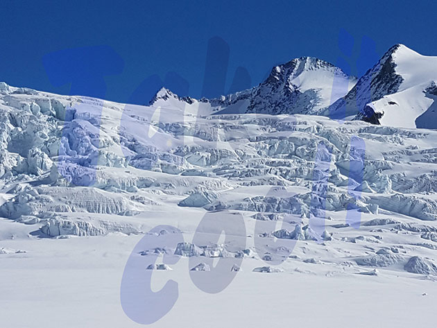 ... ohhh, what a life!