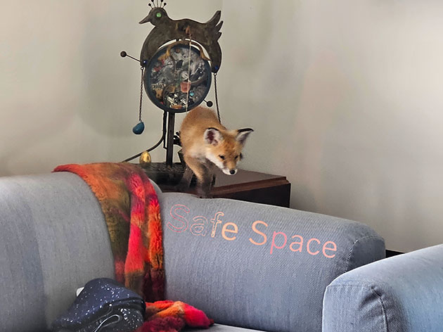 ... where to go now?