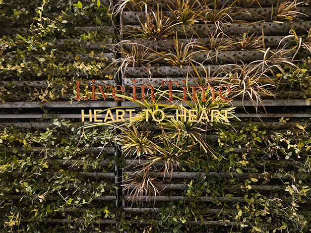 ... listen to the music!