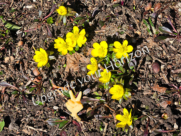 ... hope should last!