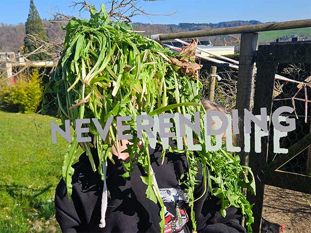 ... & another day goes by....