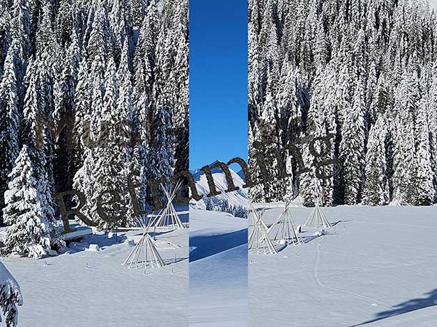 ... the top as a goal?