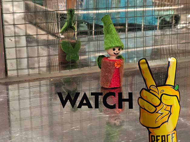 ... walk on straight!