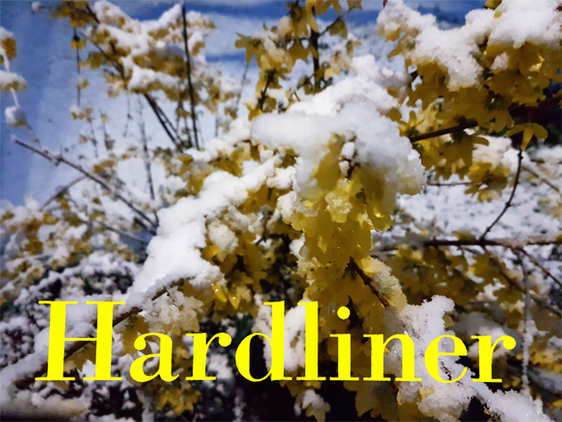 Hard walk