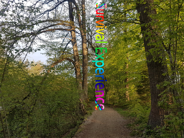 Daily walk