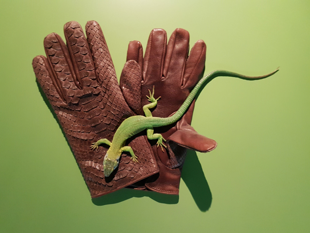 Handy walk