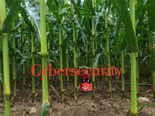 Cyber walk
