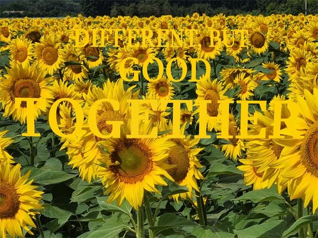 ... yellow 4 U!