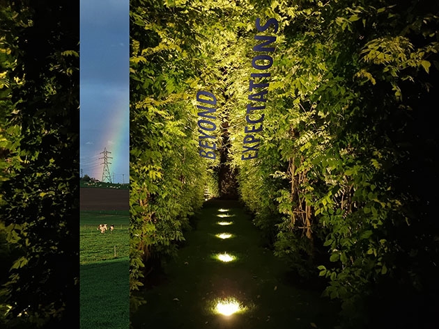 ... any rainbow?