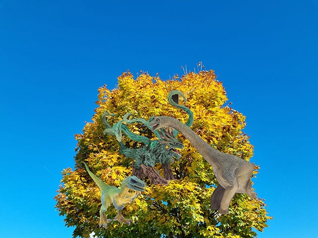 ... autumn?