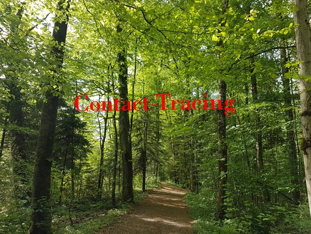 Particular walk