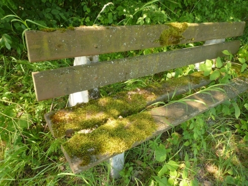 Closy walk
