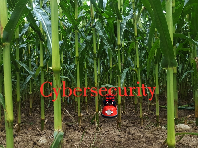 Cyber walk