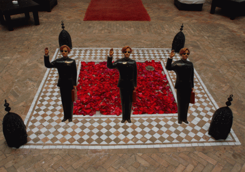 Rose walk