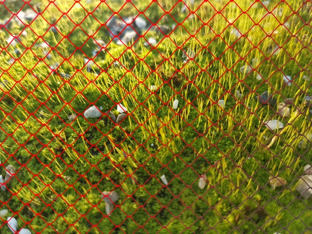 Locked walk